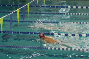 九游APP官网-世界游泳锦标赛连续夺金，实力证明中国，世界游泳锦标赛举办地