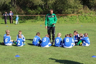 九游平台官网-球队教练赛后策略点评及分析，球队教练在赛前给球队确定赛场战术